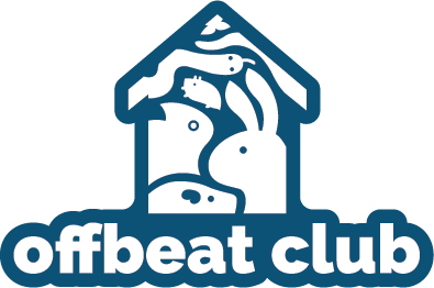Offbeat Club